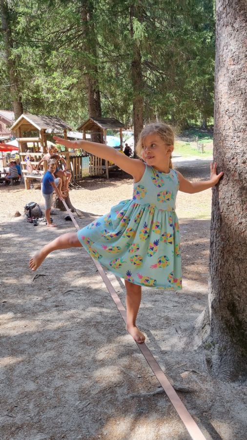 שאמוני והאלפים הצרפתיים